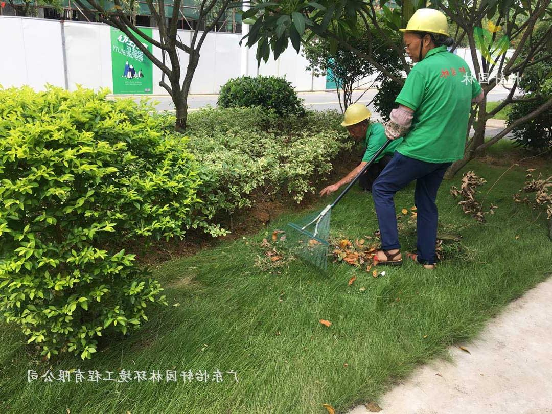 广州御湖名邸小区绿化养护